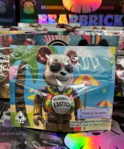 Bearbrick Exotics