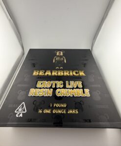 Bearbrick Live resin