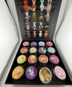 Bearbrick Live resin