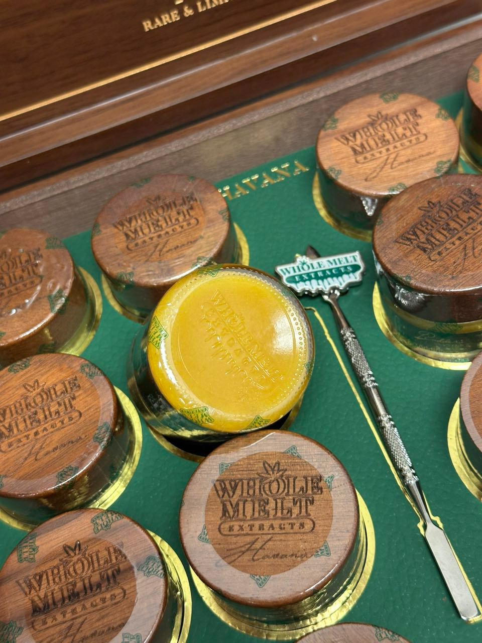 WHOLE MELT WHOLE MELT