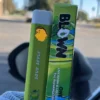 BLOWN DISPOSABLE
