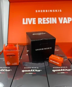 SHERBINSKI DISPOSABLE